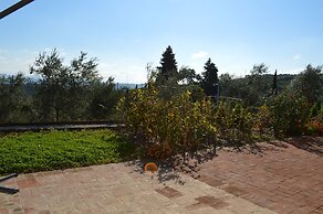 Holidays in Tuscany With Private Garden