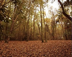 Holiday Cabin Sleeps 5 Caernarfon, Snowdonia