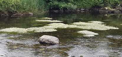 Holiday Cabin Sleeps 5 Caernarfon, Snowdonia