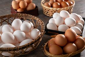 KAMENOI HOTEL NIKKO YUNISHIGAWA ALL-INCLUSIVE RESORT