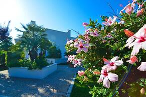 Villa Casa Kasijan Zadarvillas