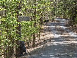 Drakes Mountain Hideaway