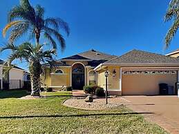 Splashing Dolphins by Distinctive Beach Rentals