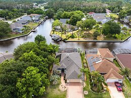 Splashing Dolphins by Distinctive Beach Rentals