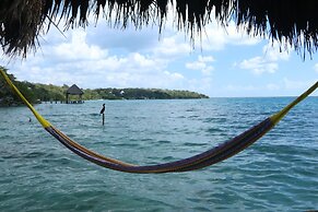 Agave Blue Bacalar