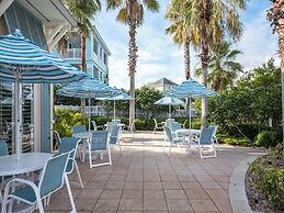 Three Palms