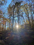 Country Comfy Right in Town