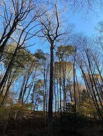 Country Comfy Right in Town