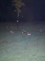 Country Comfy Right in Town