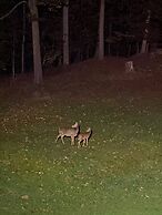 Country Comfy Right in Town