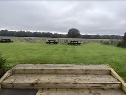 The Chilterns Fox