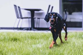 M1 - Mountain Living