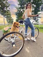 Hotel Caribbean Adventure