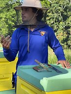 Hotel Caribbean Adventure