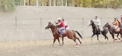 Best Western Guest House