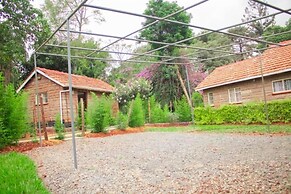 Celio Jardine Lavington