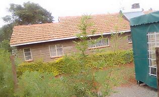 Celio Jardine Lavington