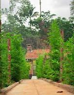 Celio Jardine Lavington