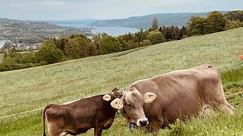 Herziges Apartment Mitten im Schoenen Thurgau