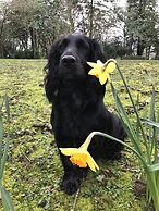 James' Place at Castle Cottage