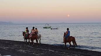 Pleasure Studios Centre Thera