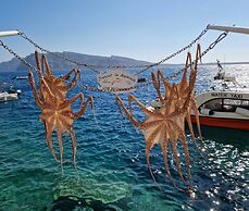 Pleasure Studios Centre Thera