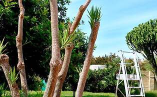 Villa Aurora, Private Pine Forest, Barbecue, Solarium