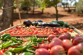 Borgo del Tempo Ritrovato