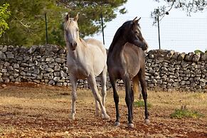Borgo del Tempo Ritrovato