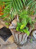 Linda Propiedad de 5 Habitaciones