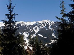 Luxury 5 Bedroom Blueberry Chalet