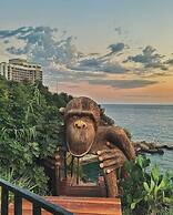 Lucky Monkey Hotel