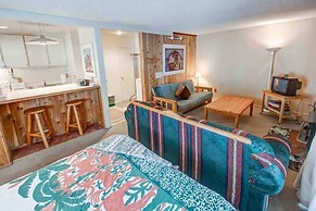 Hidden Valley #027 - Studio w/ Amenities - Walk to Village!