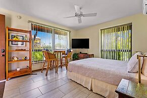 The Shores 20 - Studio at the Waikoloa Beach Resort