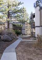 Sherwin Villas- Free Shuttle & Near Skiing!