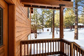 Quaking Cabin Gas BBQ & Amenities Access!