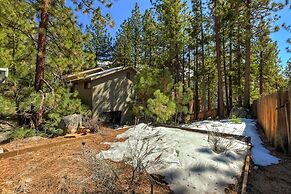 Mystic Pine