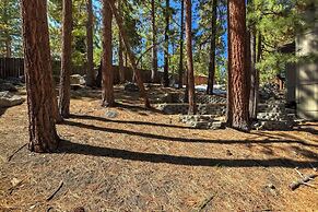 Mystic Pine