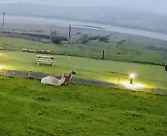 The Lazy Llama Shepherd Hut Campview Farm Stay