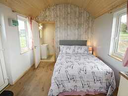 The Lazy Llama Shepherd Hut Campview Farm Stay