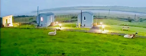 The Lazy Llama Shepherd Hut Campview Farm Stay