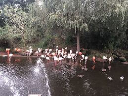 Saada appartement El Jadida