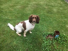 Cosy Dog Friendly Bungalow Sleeps 4