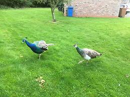 Luxury dog Friendly Cottage Sleeps 4