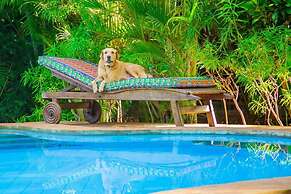 Immaculate, Stunning 3-bed Cottage in Diani Beach