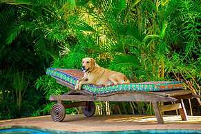 Immaculate, Stunning 3-bed Cottage in Diani Beach