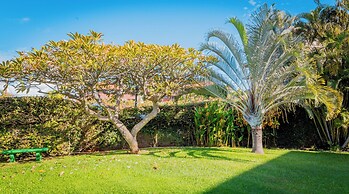 Maui Vista 1210