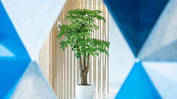 Holiday Inn Express Yangjiang City Center by IHG