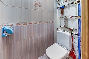 Apartment Vesta on Ligovsky