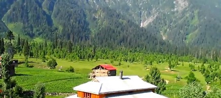 Elysium Inn Guest House